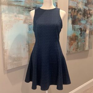 Francesca’s Small Skater Dress